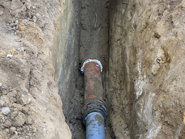 Best 24/7 water damage repair  in Coleman, MI