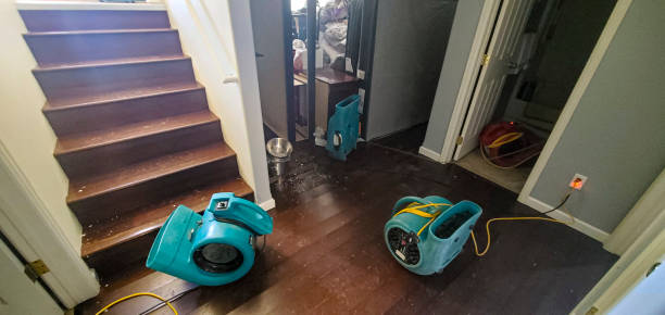 24/7 water damage repair in Coleman, MI