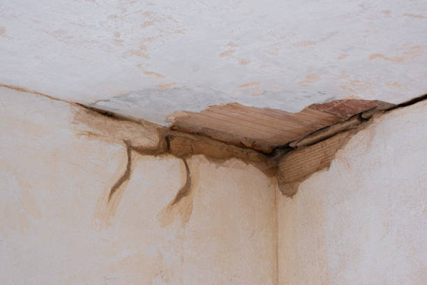 Best 24-hour water damage restoration  in Coleman, MI