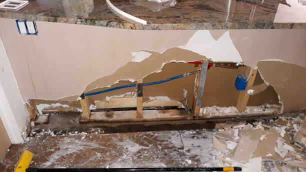 Best Water damage restoration near me  in Coleman, MI