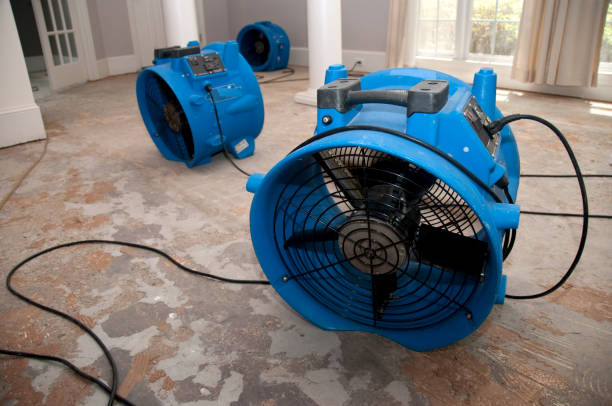 Best Emergency water damage restoration  in Coleman, MI