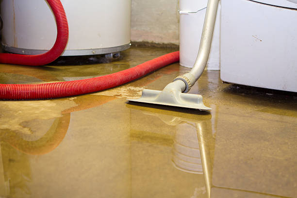 Trusted Coleman, MI Water damage restoration Experts