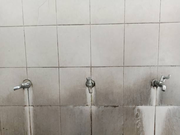 Best Flood restoration services  in Coleman, MI