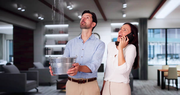 Best Water damage cleanup near me  in Coleman, MI