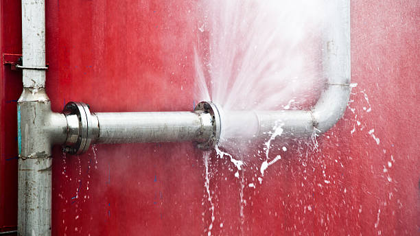 Best Water damage restoration near me  in Coleman, MI