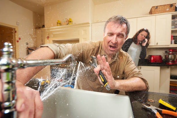 Best Fire Damage Restoration  in Coleman, MI